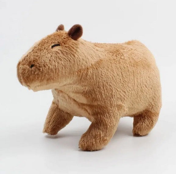 Capybara tæpper Coral Fleece plys dekoration Vilde dyr i
