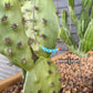 Vaquera Necklace