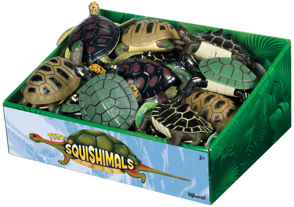 Turtle Squishamals