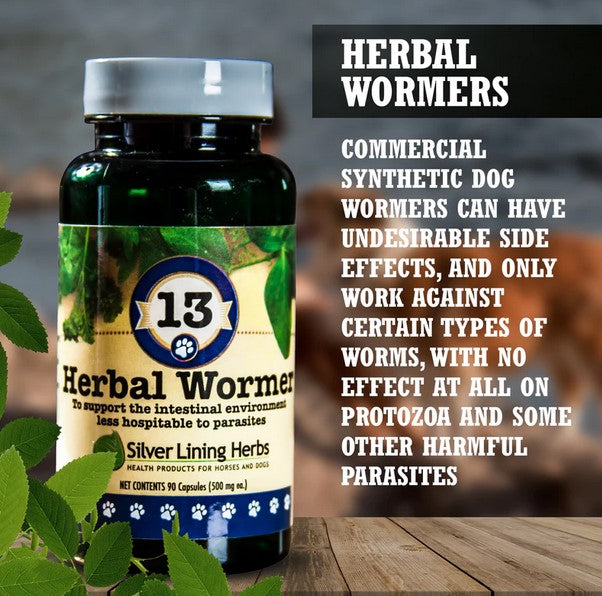 Herbal Wormer for Dogs - 90 Capsule