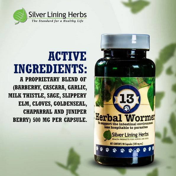 Herbal Wormer for Dogs - 90 Capsule