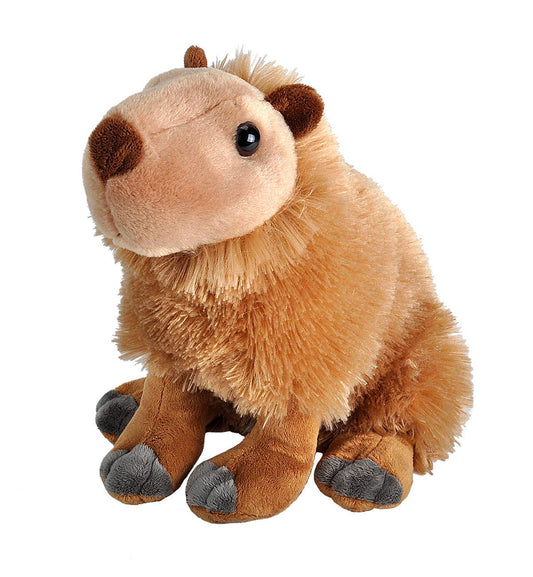 CK Capybara Stuffed Animal 12"